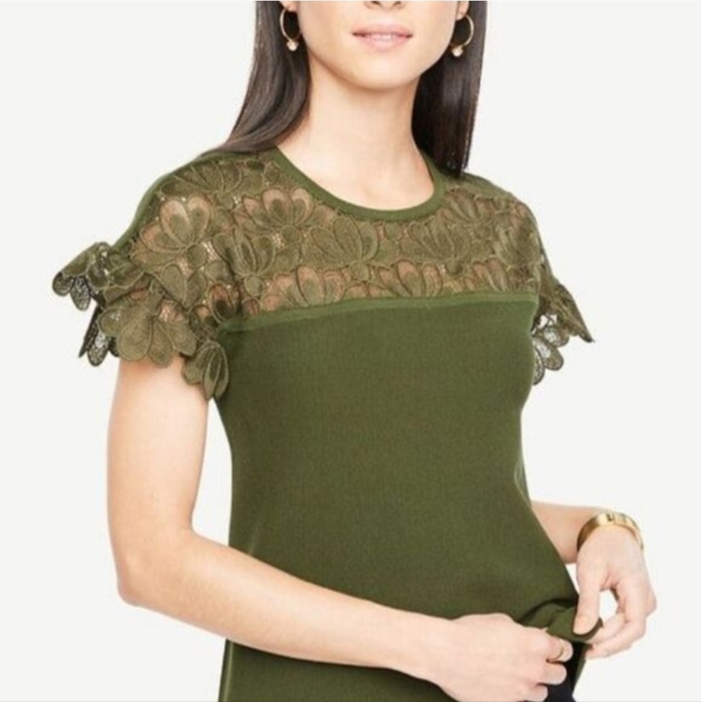 Ann Taylor Olive Knit Top - Sz M